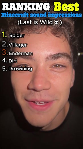 Ranking the best Minecraft Sound Impressions