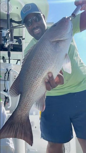 The Ultimate Guide to Catching Monster Mangrove Snapper