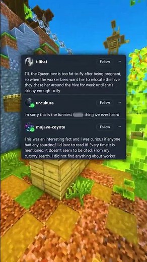 The Queen Bee’s Exercise Program 🐝