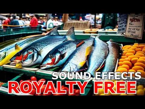 Fish Market Ambience Sound Effect Clips | Free to Use | Royalty-Free Sound Effects Collection