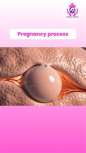Dr Nisha Jethani | Gynaecologist | 🤰 Pregnancy Process – From Ovulation to Implantation 👉 Day 1 – Ovulation A mature egg is released from the ovary into the fallopian tube.... | Instagram