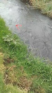 #SELO KE SEO MO METSING (PART 2) | Les Mpete