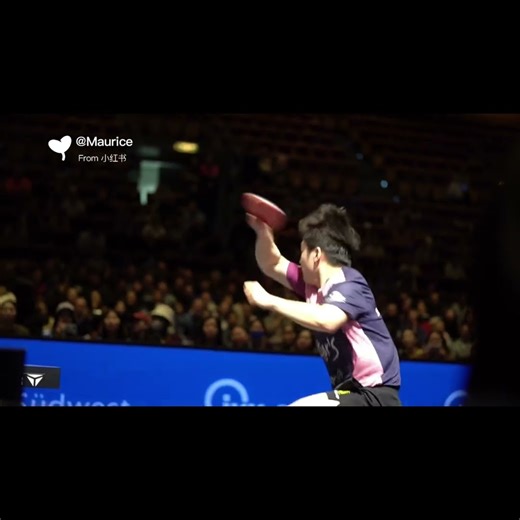 Slow Motion: The integration of Fan Zhendong’s forehand and body movement in play #fanzhendong
