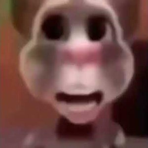 boy what the hell boy (original) talking tom cat meme