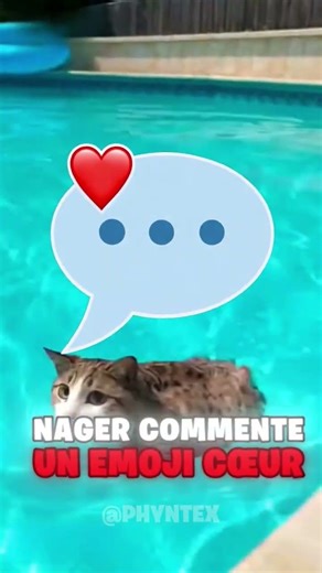 IMAGINE que tu es au SUPERMARCHÉ pour choisir ton MEOWL, Lequel ACHÈTERAIS-TU pour TOI? 🐱😨