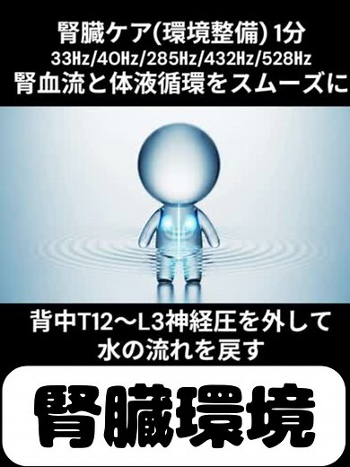 腎臓ケア音源で健康をサポート