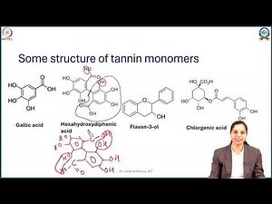 Week 4: Lecture 16: Introduction and Classification of Tannins