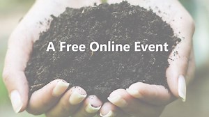 14K views · 461 reactions | Want to transform your yard into an...