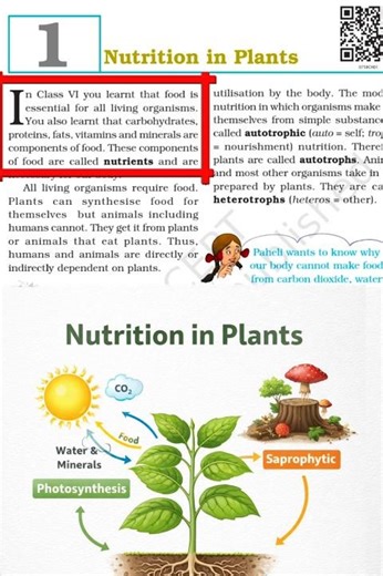 Plant Nutrition Explained in Easy Way | NCERT | Class 7 Science: Plant Nutrition Made Easy #Viral