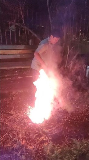 Ajke park er jongol porishkar 😲 sesh porjonto dekhun shorts #shortsviral #trending #park