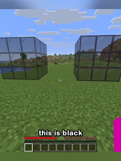 Tinted Glass vs. Black Stained Glass in Minecraft