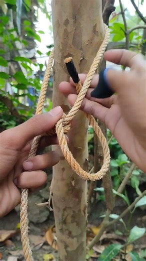 Strong tree knot that won’t slip