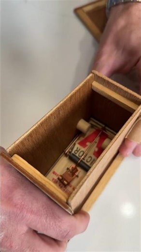 Mouse trap exploding box! 😱