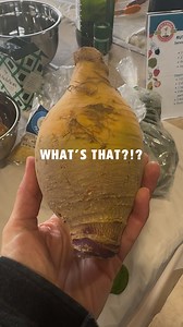 1.5K views · 14 reactions | Turning rutabagas into fries you won’t...