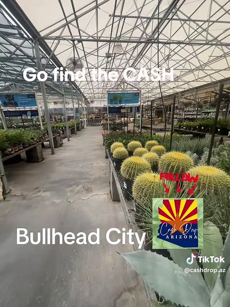 Go find the CASH in Bullhead City, Arizona. Post a photo of the money next to your face when you find it in the comments. #arizona #cashdrop #hiddenmoneyaz #BullheadCity