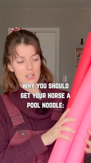 If you have a rowdy young colt or gelding…get them a pool noodle. You’ll be entertained for hours. They’ll chase other horses with it, smack you with it, and the list goes on and on! | EquineHelper.com