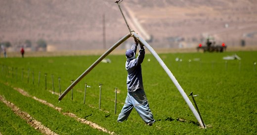 McDonald's french fries, carrots, onions: all of the foods that come from Bill Gates farmland