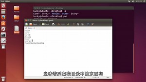 Linux初学者教程(Linux Tutorial for Beginners)