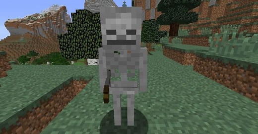 Every type of skeleton mob in Minecraft ranked