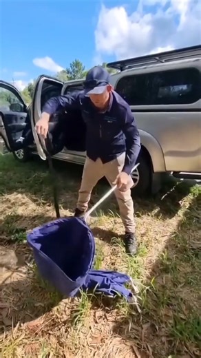Snake Slithers Over Woman Driving on Highway Terrifying moment as a venomous snake slithers over a woman while driving! Watch her quick reaction and stay alert on the road. #venomoussnake #highwaydanger #snakeencounter #wildlifeshock #roadalert #snakeattack #dangerouswildlife #reptilewatch #stayalert #natureclosecall | Wildlife With Stuart Mckenzie