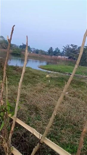 my first mini vlogs #shorts #ytshorts #shortsviral