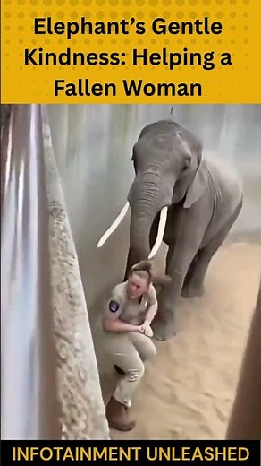 Elephant’s Gentle Kindness: Helping a Fallen Woman
