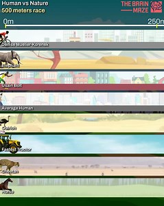 93K views · 249 reactions | Human vs Nature: The Ultimate 500-Meter...