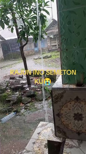 Udin Tep Tep: Fenomena di Media Sosial