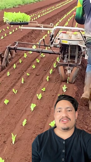 Yesto sajilo tarika #shortvideo #farming #goviral