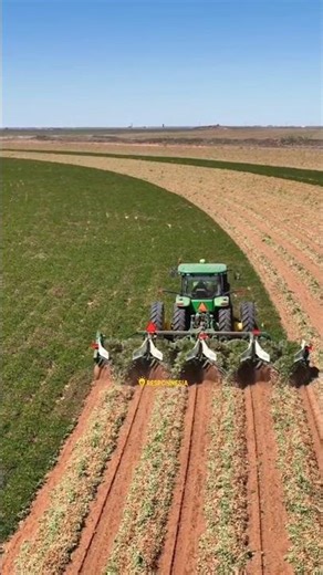 "One Trip, Bountiful Peanut Harvest! Meet the Advanced Peanut Combine Harvester"