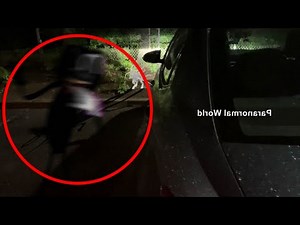 I saw Cartoon cat in real life!