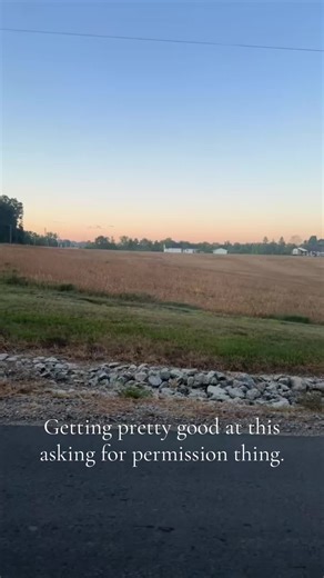 #hunting #geese #hunters | hunting