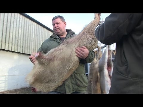 How to butcher a boar with George Digweed