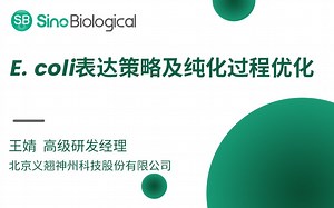 𝐸.𝐶𝑜𝑙 𝑖 表达策略及纯化过程优化