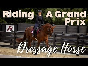 Riding A Grand Prix Dressage Horse: Lesson with Anna Buffini