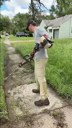 This Yard Needed Help Bad #transformation #satisfying #cleanup