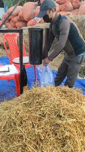 Bagging machine mushroom cultivation only one person can do it 9362428608 #mushroomfarming @highlight | Mds Mushroom