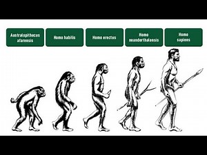 EVOLUTION OF MAN