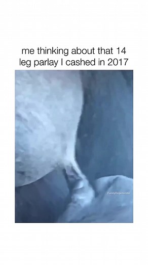 #foryou #monkey #twist #fyp #viral #pov #funny #sad