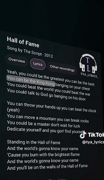 Hall of Fame - The Script Lyrics and Meaning