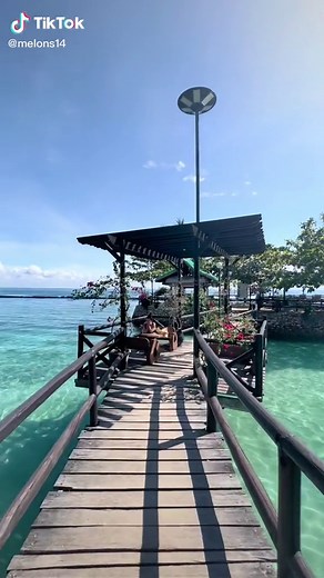 Melons Ballena on TikTok