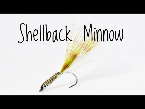 Troutcastz' Shellback Minnow - Streamer Fly Tutorial