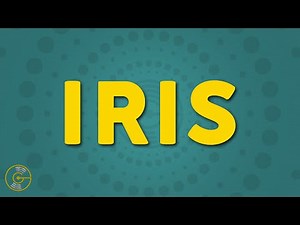 Goo Goo Dolls - Iris (Lyrics)