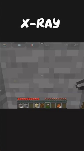 Minecraft x-ray glitch #shorts