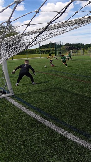 How Did That Not Go in?