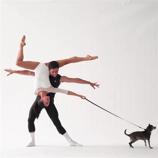 Happy New Year! 🍾. We hope 2024 brings you lots of smiles, perfect turnout and happy butt wiggles! #dancersanddogs | Dancers & Dogs