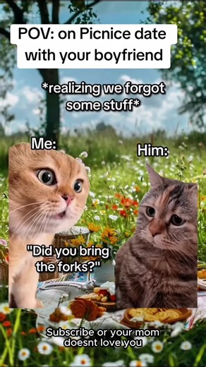 Comment below for more videos 🙏⬇️⬇️⬇️ #catwalk #viralvideos #memesfreefire #weekendtrip #catmemes