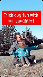 Margo absolutely loves running around and playing with the dogs. She wanted to do arm overs with Psycho Suzi, and then wanted to do them herself. She likes to pretend that she’s a dog named Rocky sometimes 😂😍 Proudly team @herodiscusa 🥏🤩 #dogtraining #dogtrainer #cattledog #blueheeler #heelersofinstagram #dogtricks #trickdog #domorewithyourdog #dailydog #dailywoof #dogsoffacebook #dogsofmsp #discdog #frisbeedog #mansbestfriend #dogsports #dogsandkids #parenting | Fairly Odd Dogs