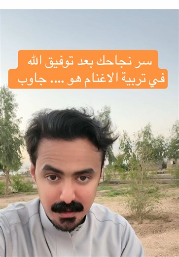 نصائح لتربية الأغنام بنجاح بعد توفيق الله