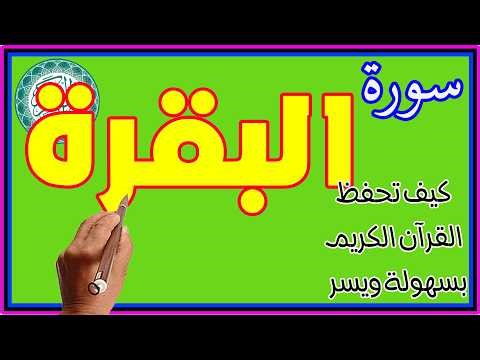 تعلم اللغة العربية أصبح ضرورة ملحة في عصرنا | ابدأ من الصفر وغيّر مستقبلك (بث مباشر)